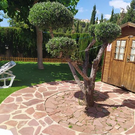 Playa La Concha - Alquiler Vacacional Con Jardin Privado أوروبيسا ذيل مار المظهر الخارجي الصورة
